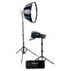 Nanlite Forza 60 LED dual kit (with Case, Light Stand, Fresnel & Softbox)
