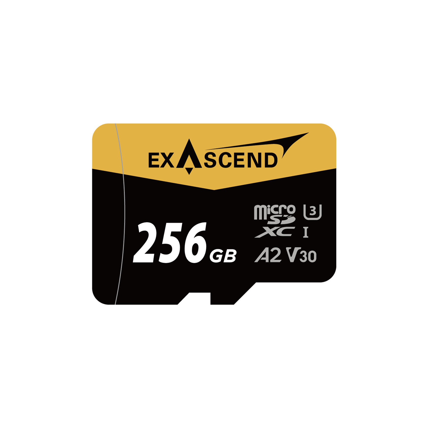 EXASCEND Catalyst UHS-I microSDXC Memory Card (V30) 256GB