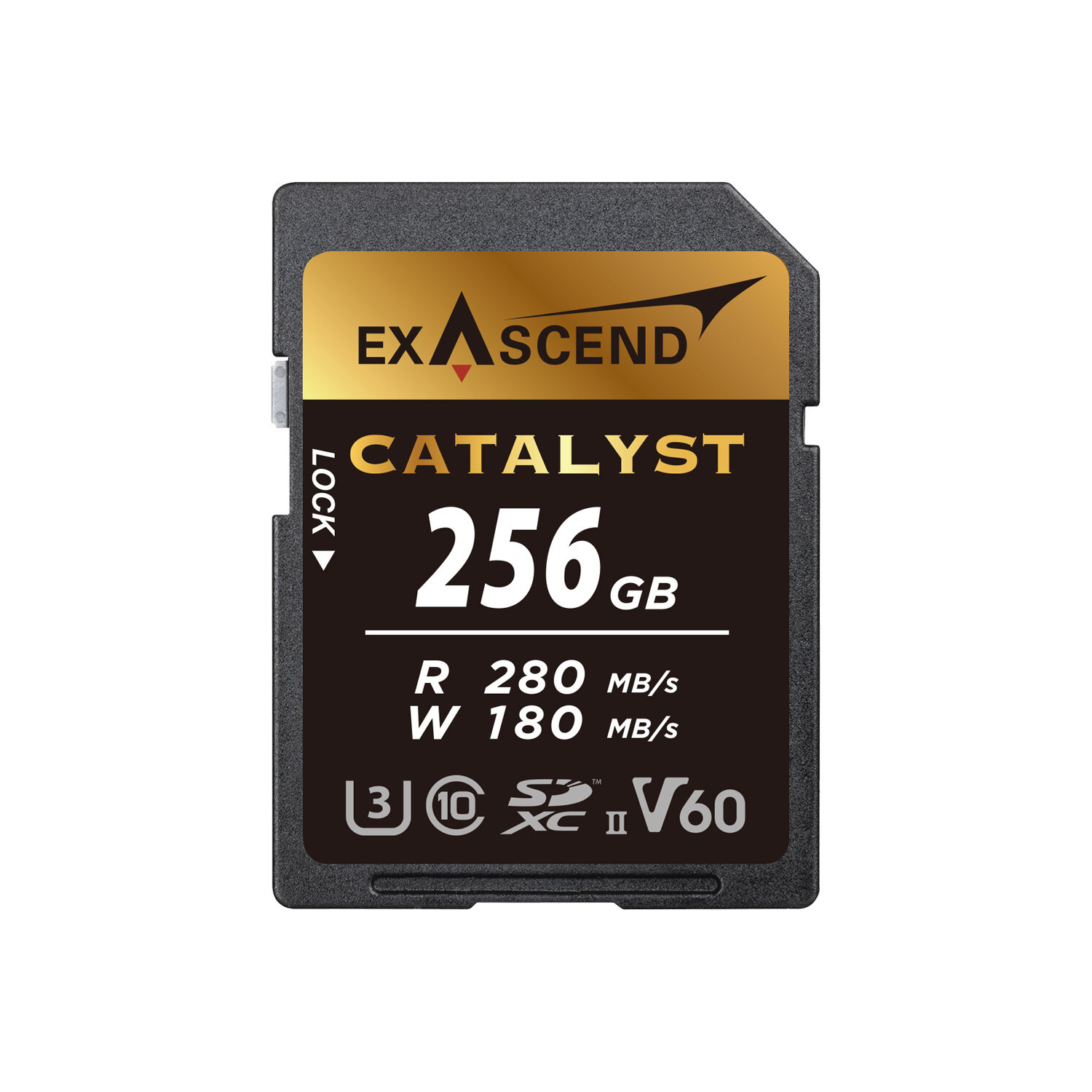 EXASCEND Catalyst UHS-II SDXC Memory Card (V60) 256GB