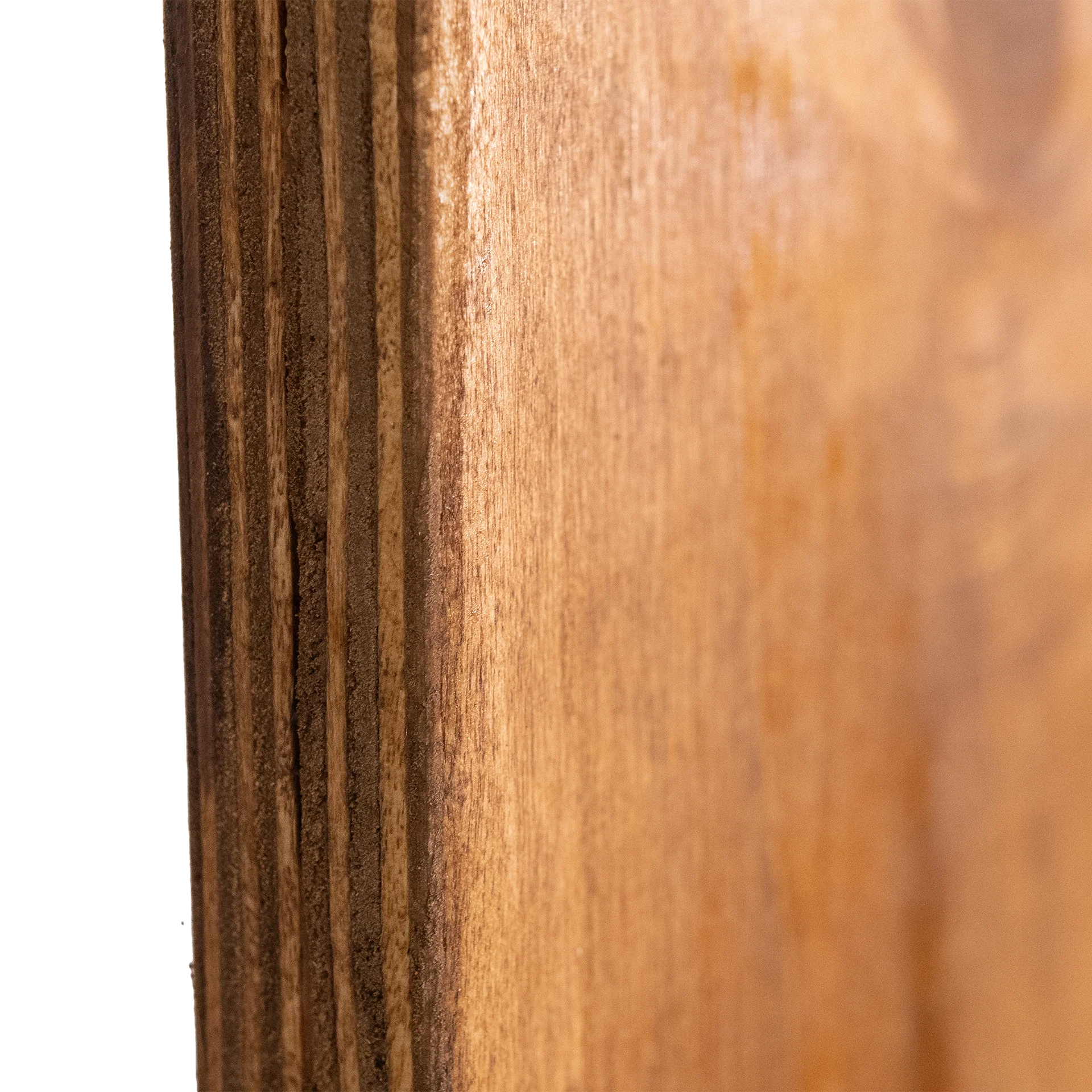 Focus Rat Heavy Duty Pancake sized Apple Box (handmade & stained) - Image 3