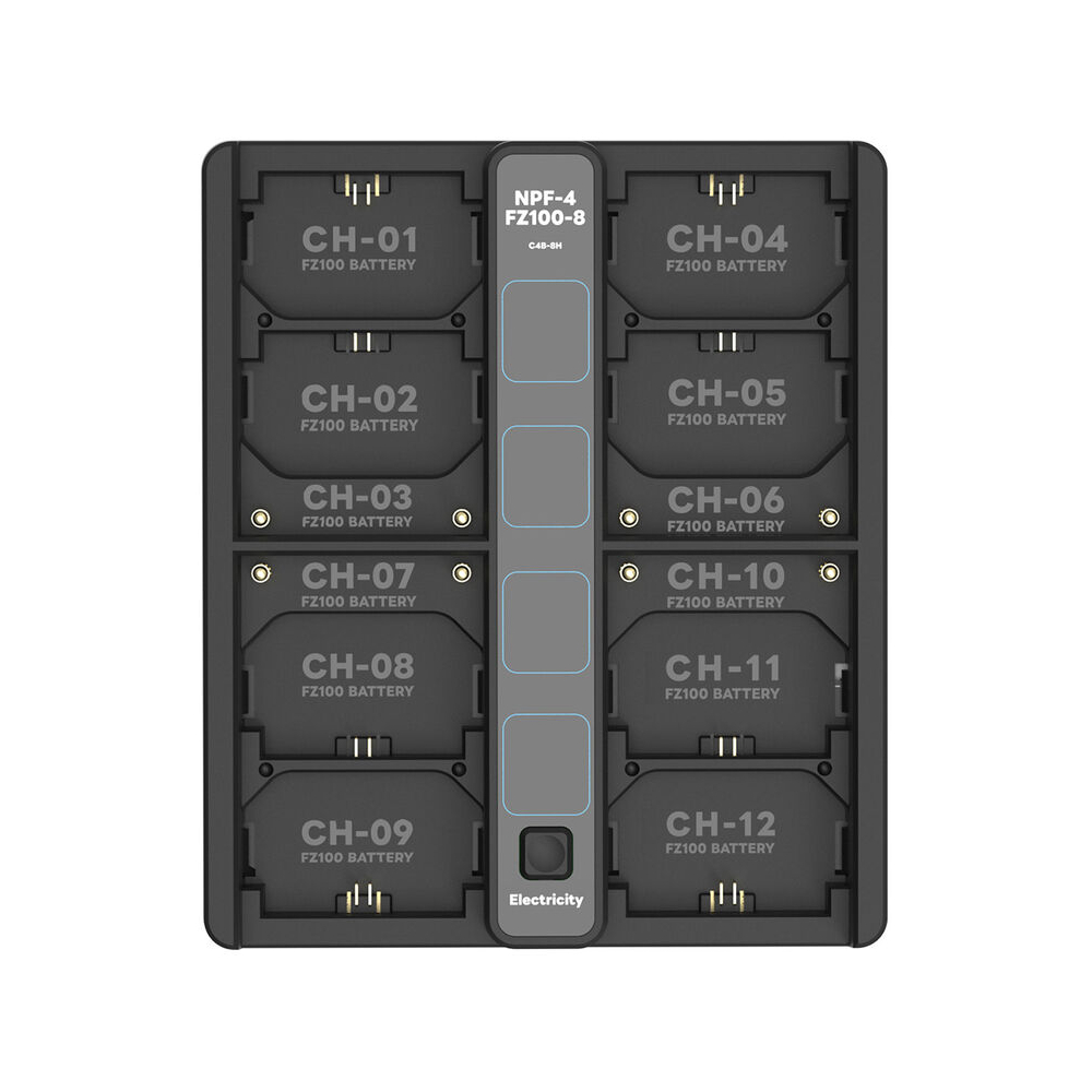 DigitalFoto Quick Charger for Sony NPF Series and FZ100 Quick Charger