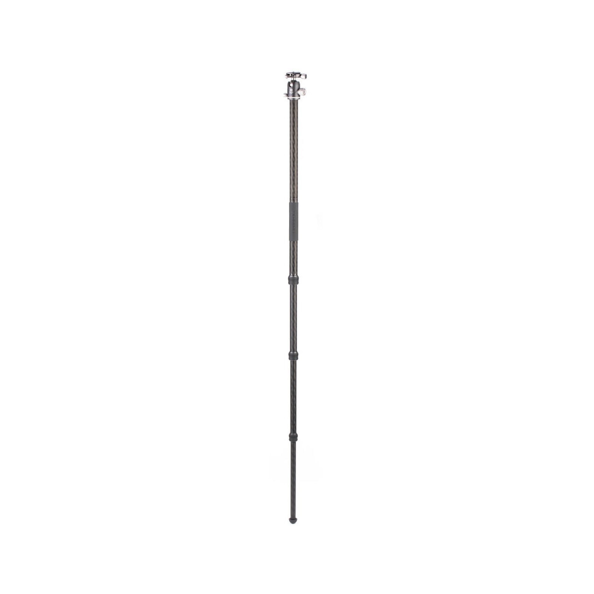 Benro Rhino Carbon Fiber Three Series Travel Tripod with VX30 Head (FRHN34CVX30)