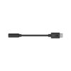 GoPro USB-C to 3.5mm Mic Adapter for MISSION 1 Series