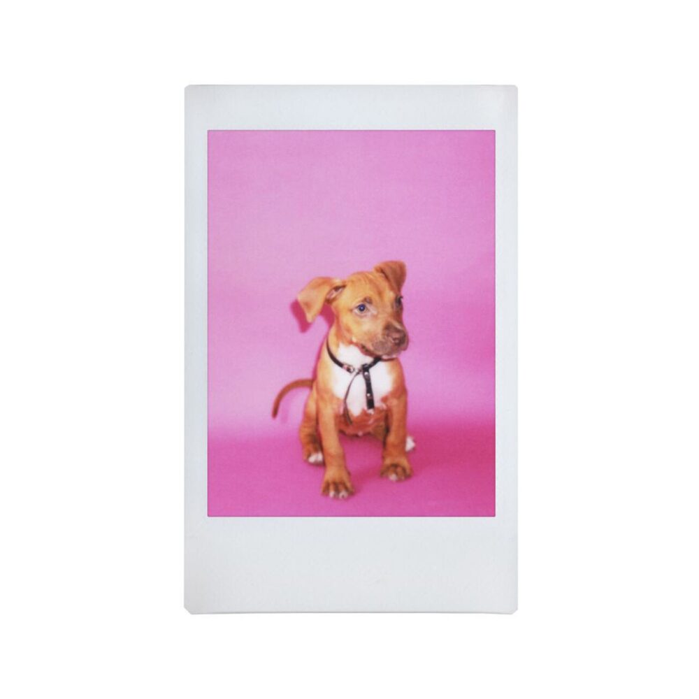 Lomo Instant Square - Black Combo
