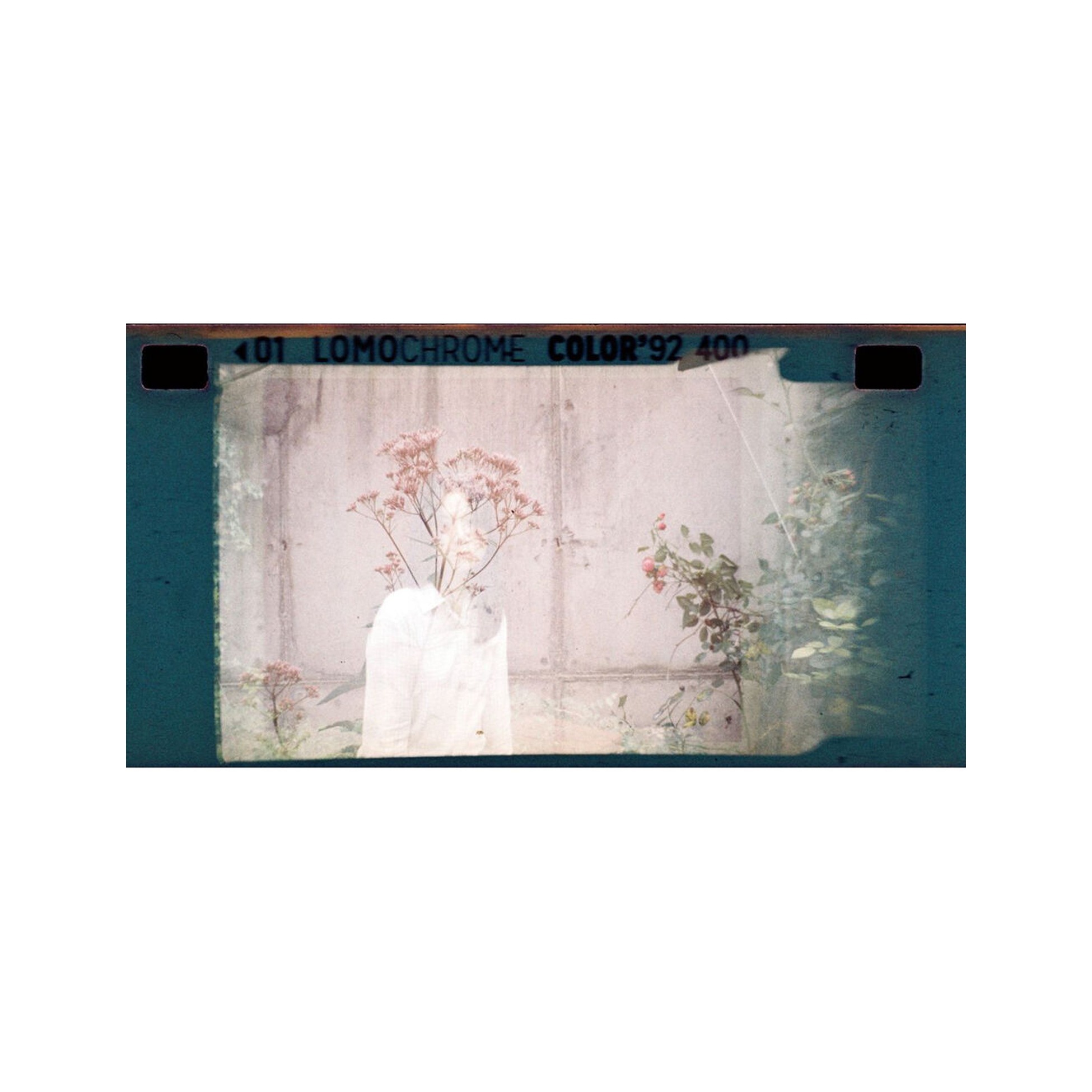 LomoChrome Color ’92 Sun-kissed 110 ISO 400 Pack of 3