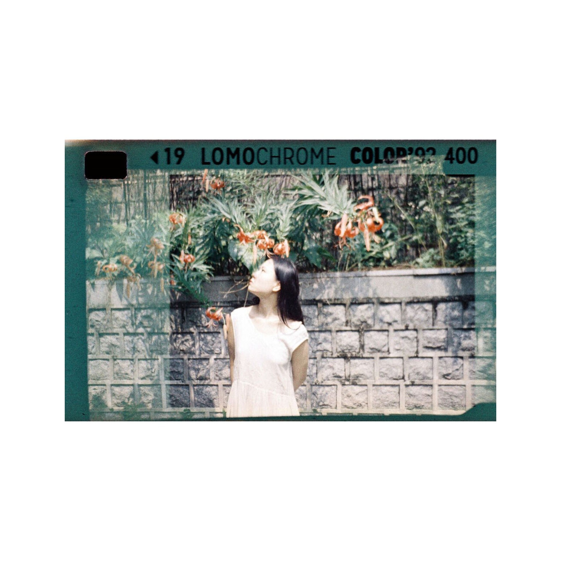 LomoChrome Color ’92 Sun-kissed 110 ISO 400 Pack of 3