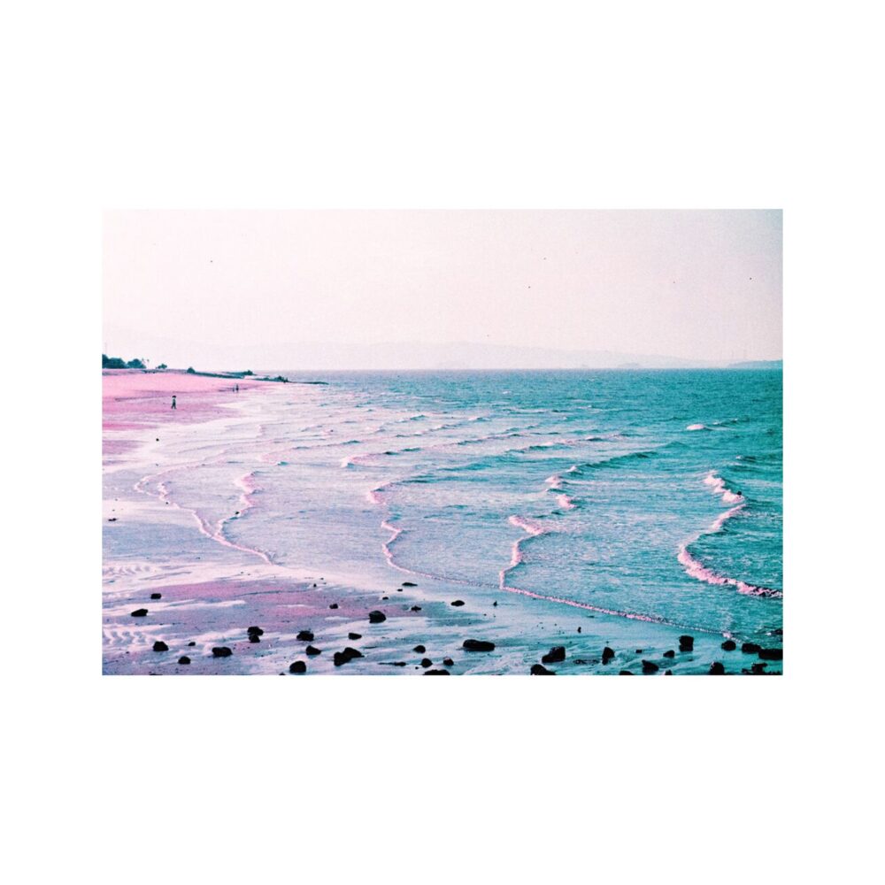 Lomography 2021 LomoChrome Purple Pétillant 35 mm Film, 36 Exposures, ISO 100–400