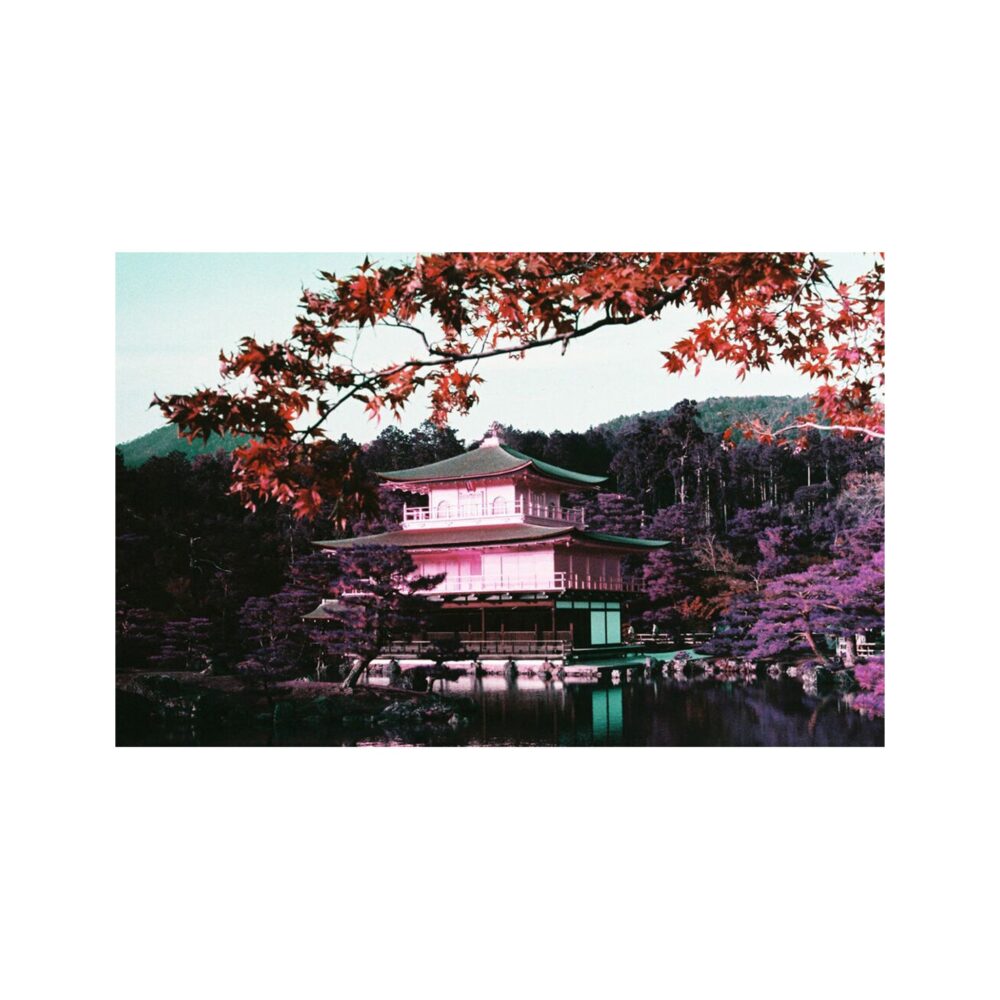 Lomography 2021 LomoChrome Purple Pétillant 35 mm Film, 36 Exposures, ISO 100–400