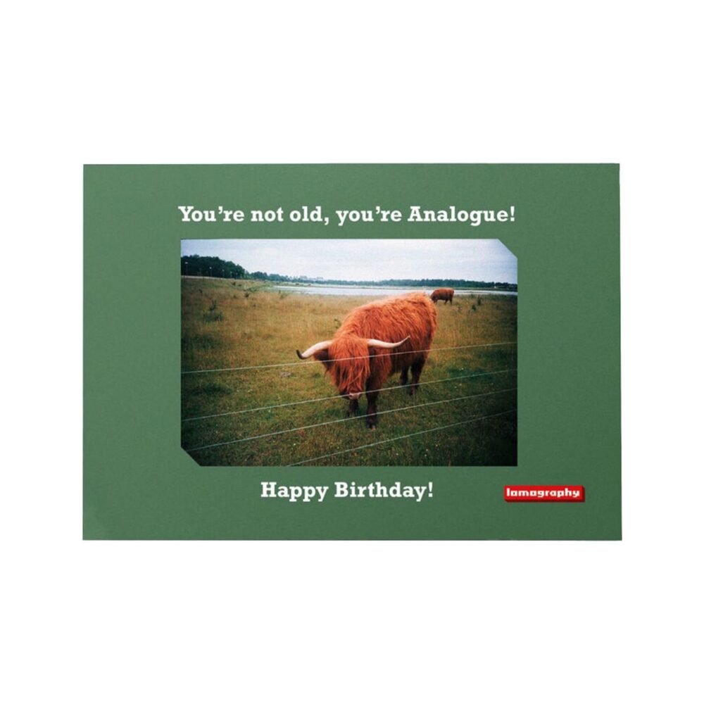 Lomography Birthday Photo Postcards (Set of 3)