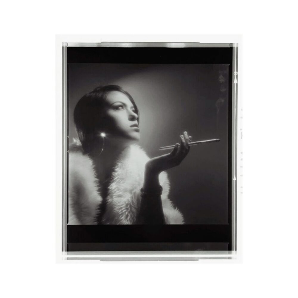 Lomography DigitaLIZA+ Scanning Kit