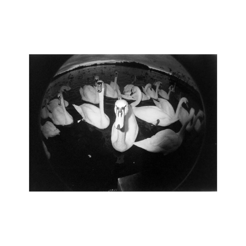 Lomography Fisheye No. 2 Camera (Grape Jam)