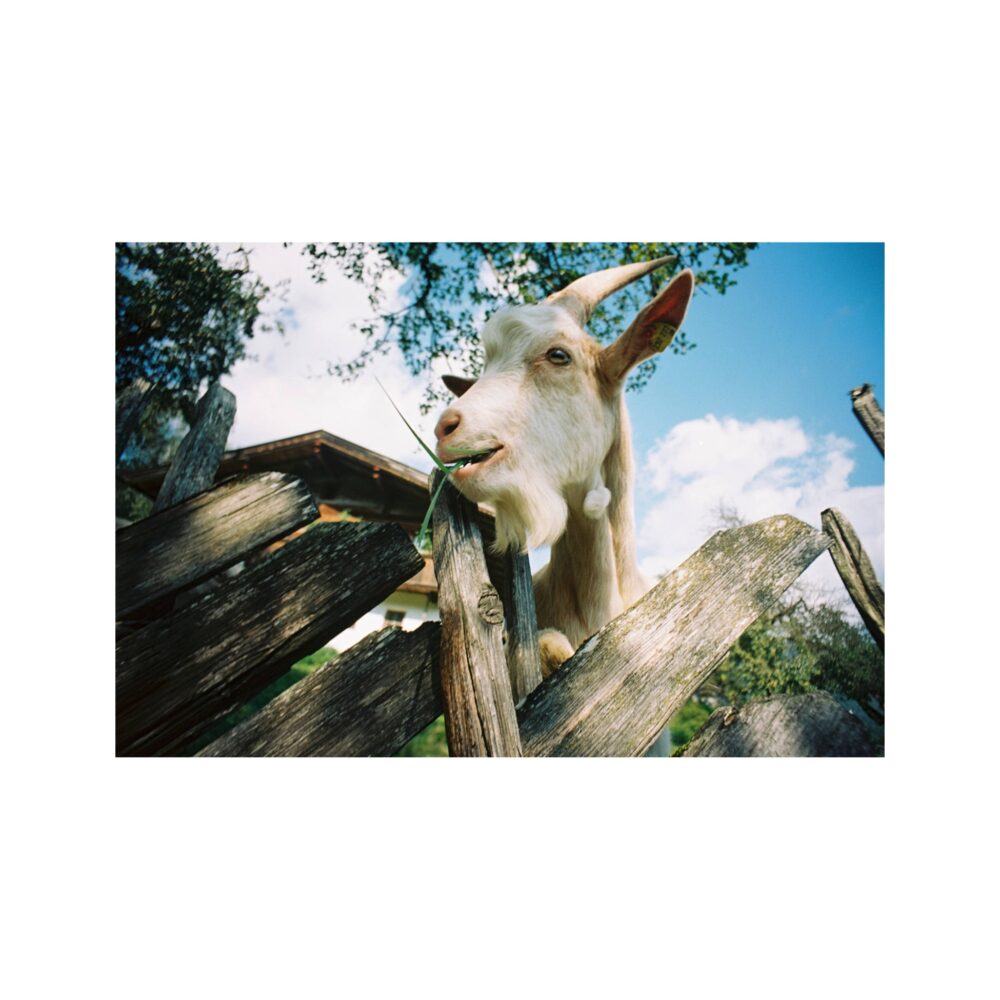 Lomography LC-Wide 35 mm Film Camera