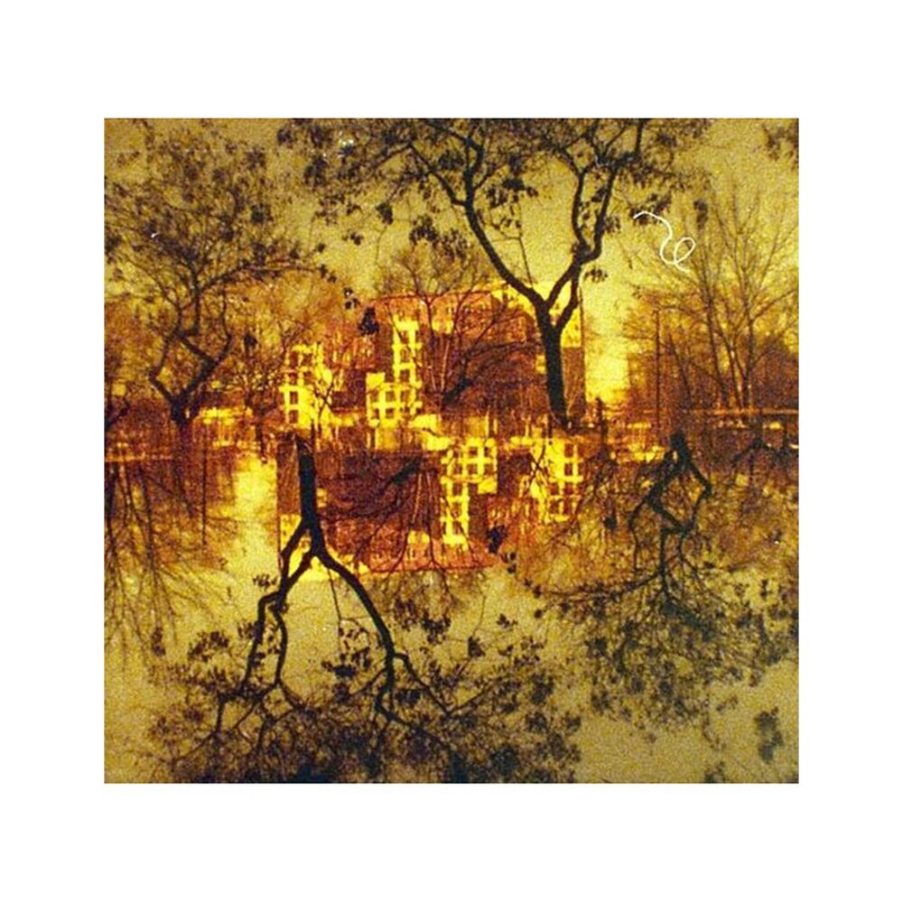 Lomography Lobster Redscale 110 200 ASA Single Pack
