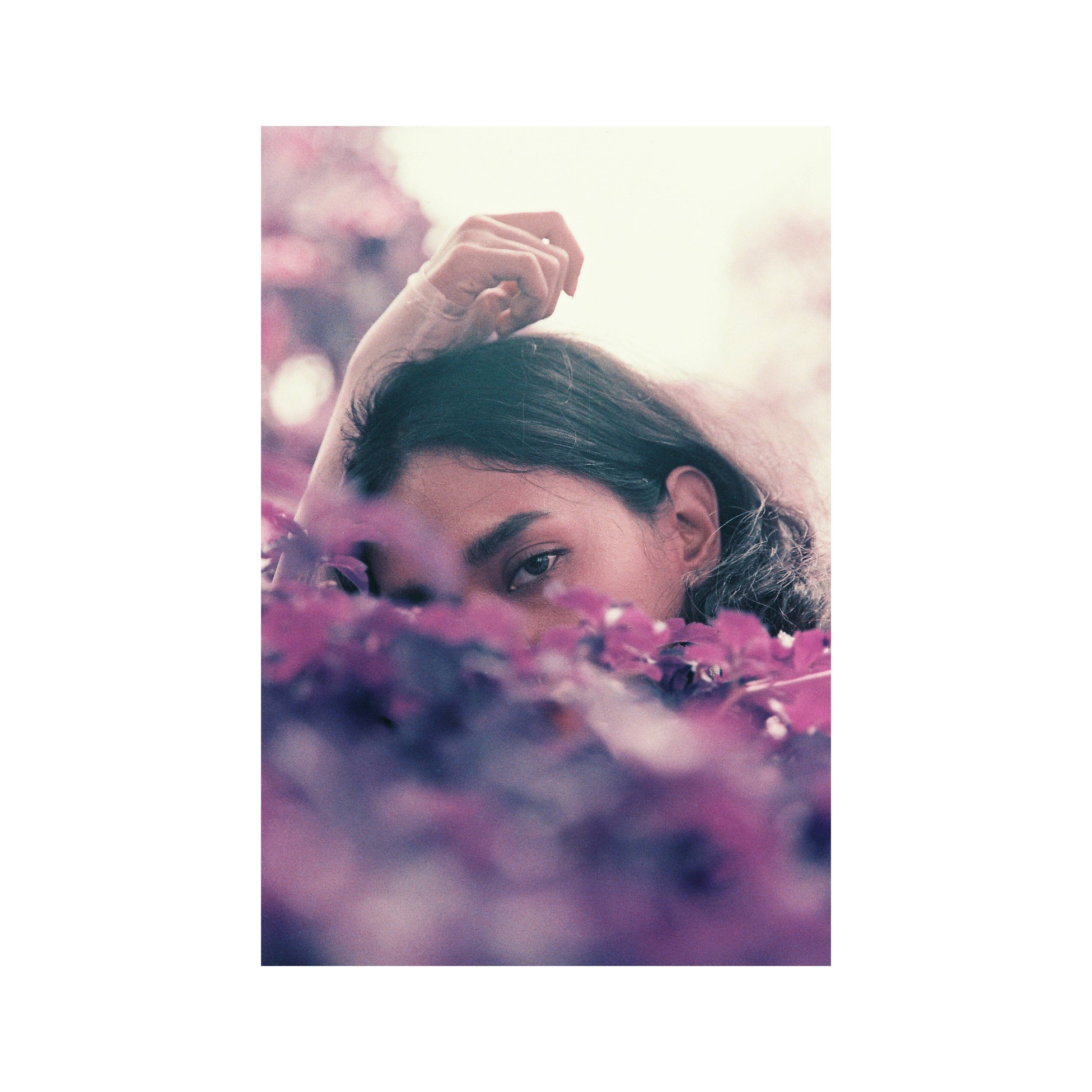 Lomography LomoChrome 2021 Purple 110 ISO 100–400