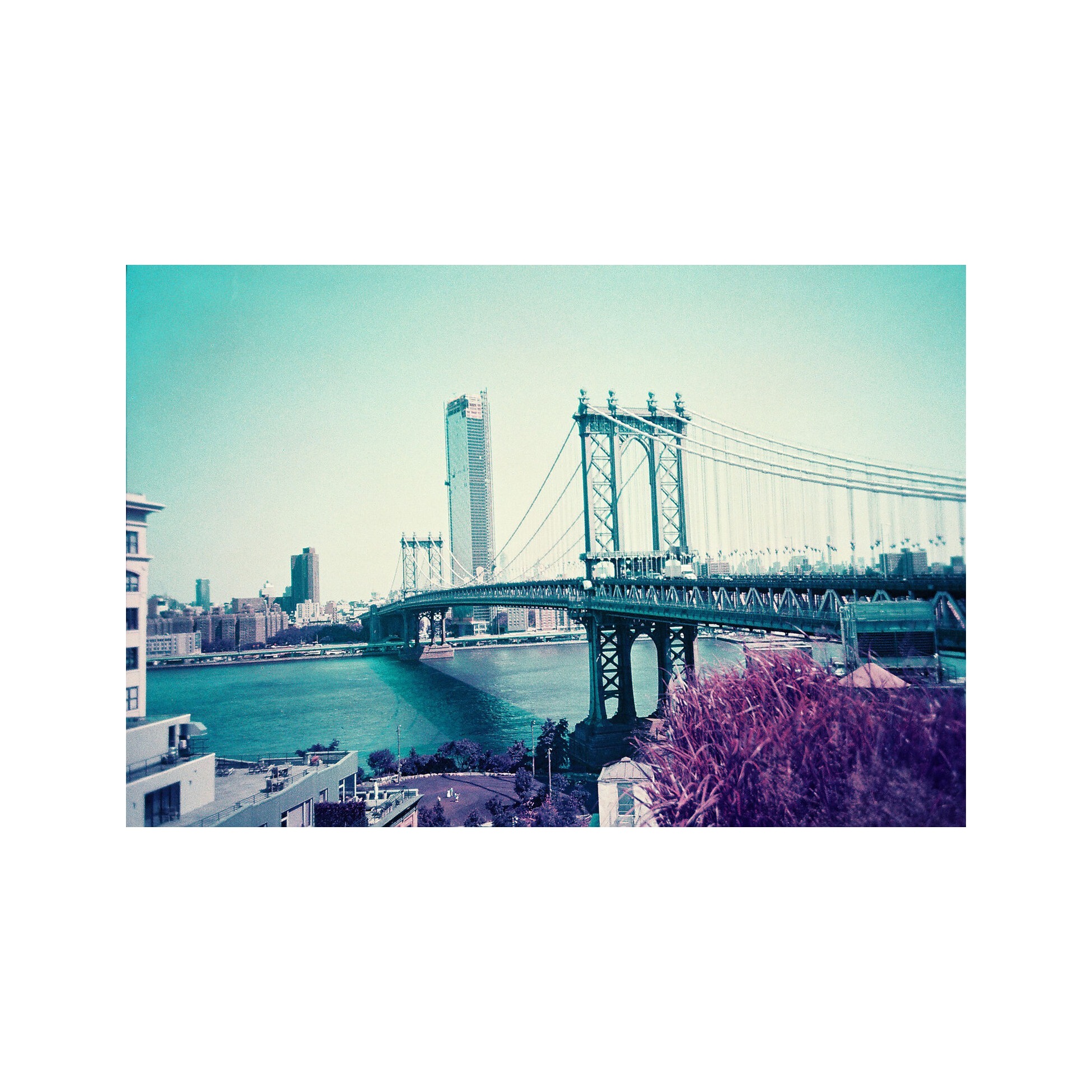 Lomography LomoChrome 2021 Purple 110 ISO 100–400
