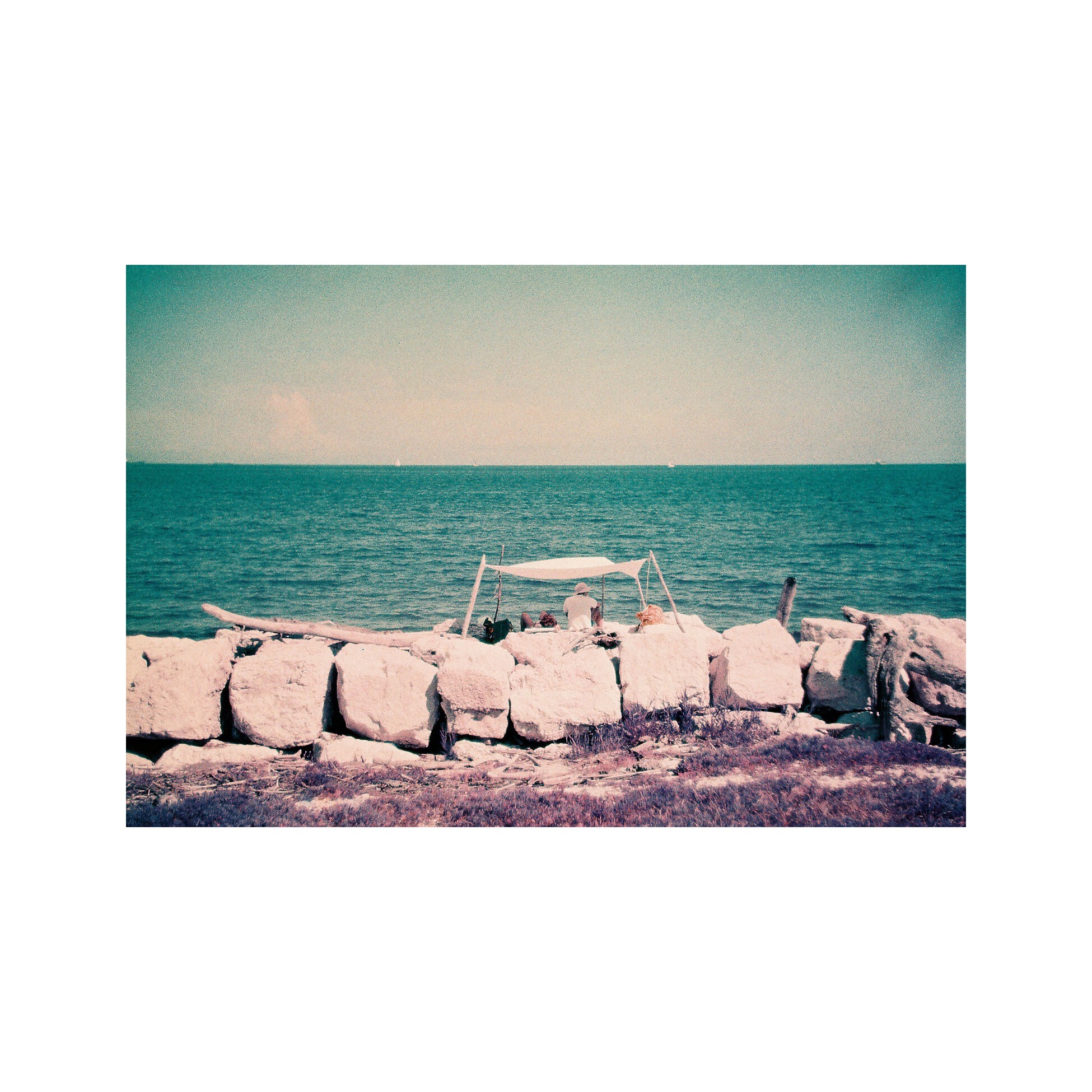 Lomography LomoChrome 2021 Purple 110 ISO 100–400