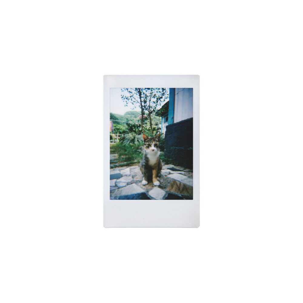 Lomography Lomo'Instant Camera & 3 Lenses (Boston Edition)