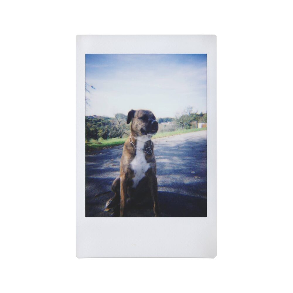 Lomography Lomo'Instant Mini White + 3 Lenses