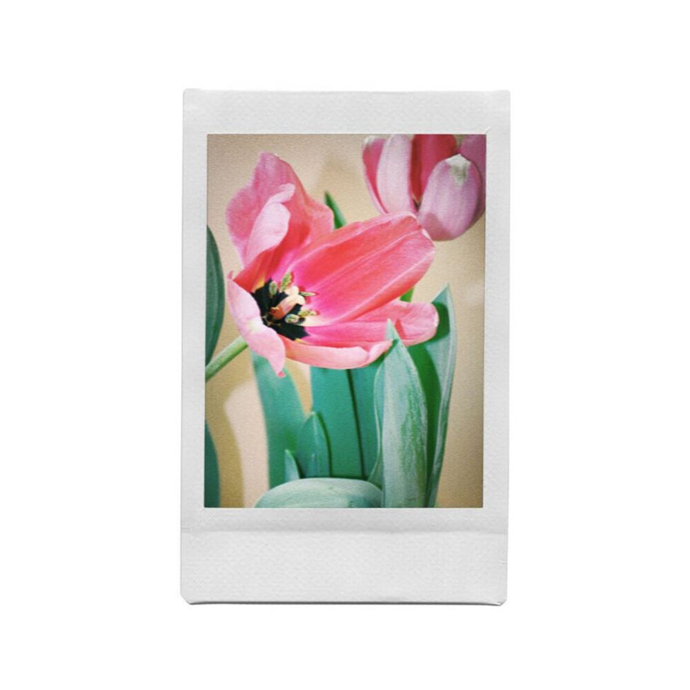 Lomography Lomo'Instant Song's Palette Edition Combo