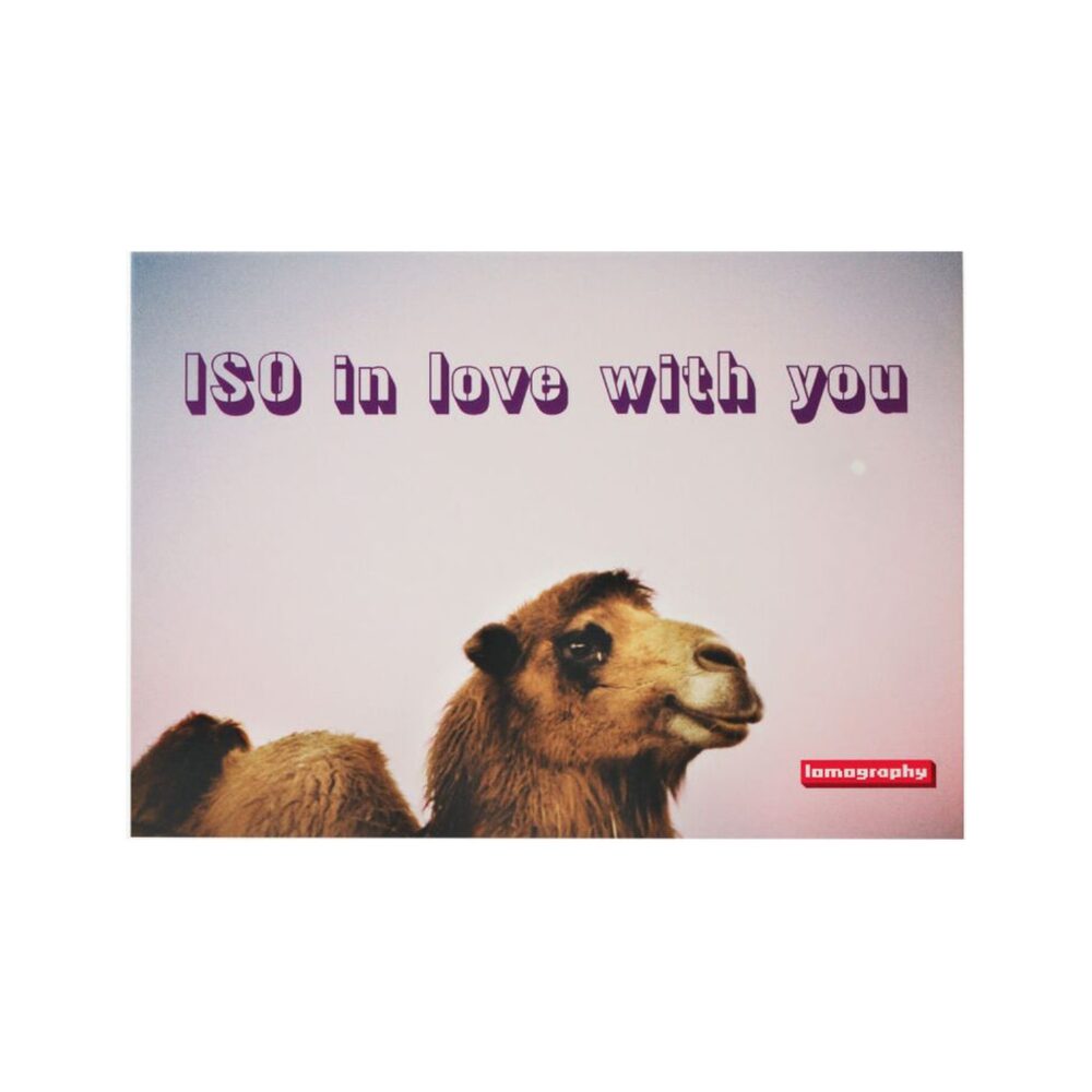 Lomography Love Letter Photo Postcards (Set of 3)