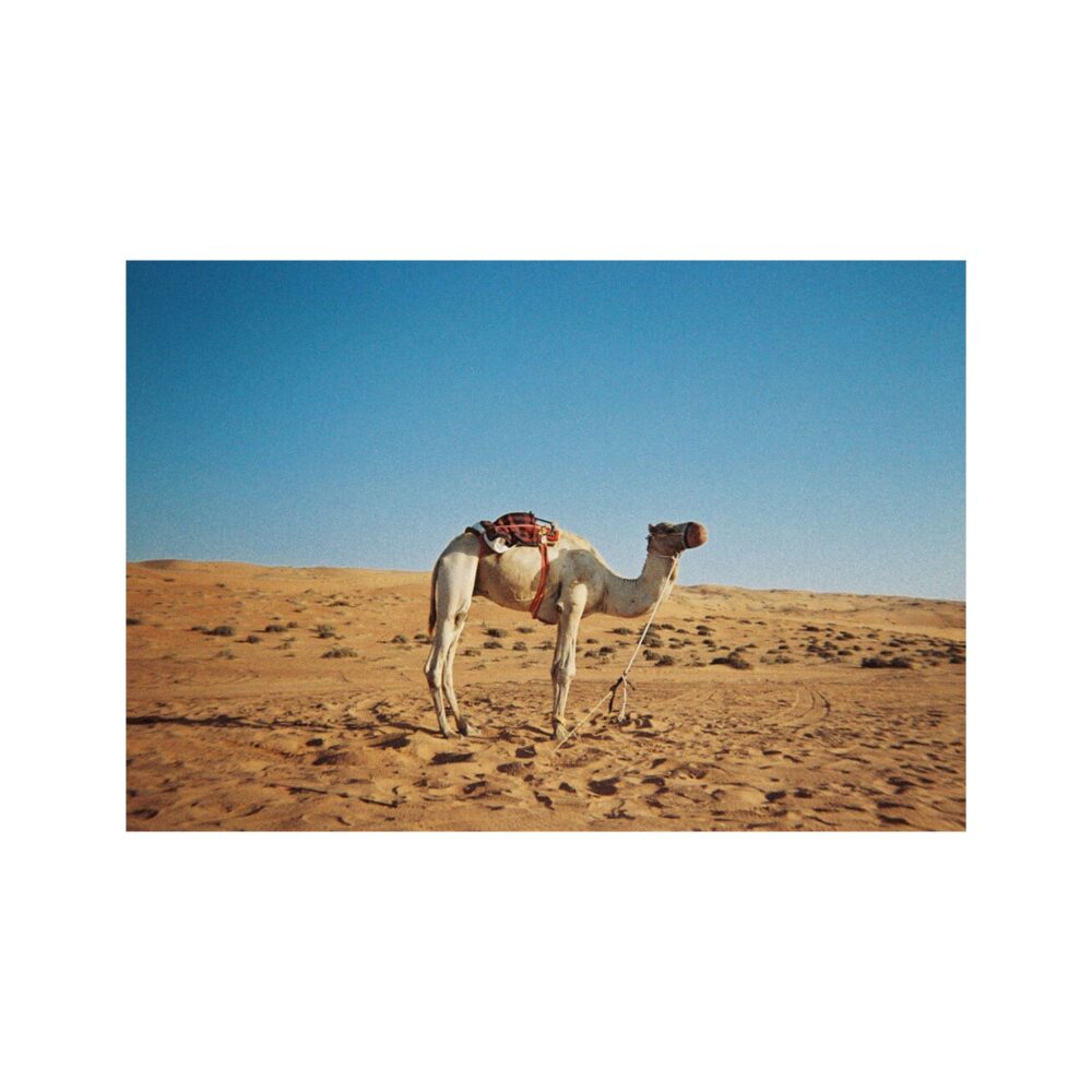 Lomography Simple Use Film Camera Colour Negative 400