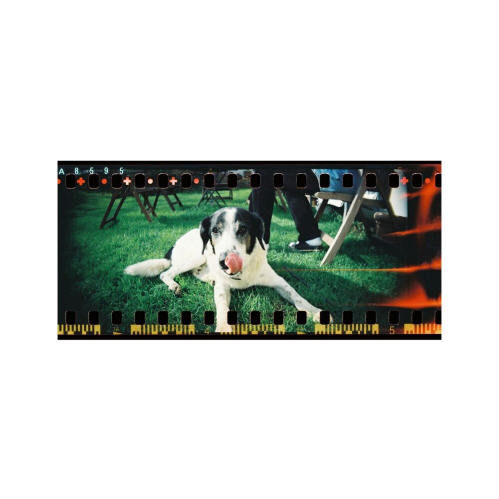 Lomography Sprocket Rocket 35mm Film Camera - Coconut White