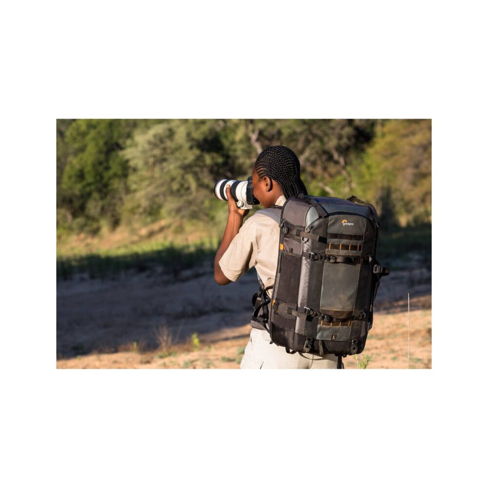 Lowepro Pro Trekker BP 650 AW II Backpack (Gray, 43L)