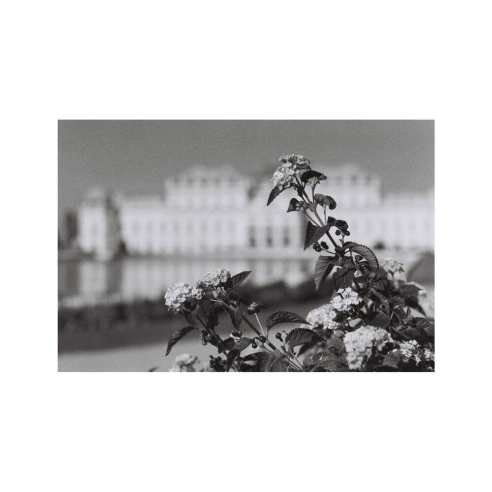 Simple Use Film Camera Black and White 400/27