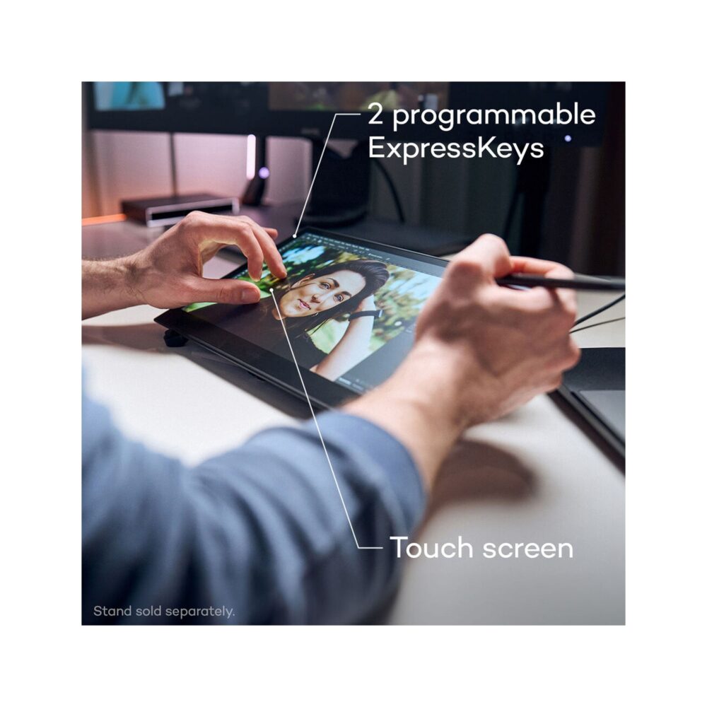 Wacom Movink 13 Pen Touch