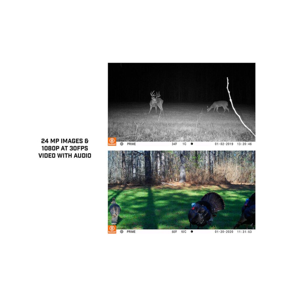 Bushnell 24MP Core Prime Brown Low Glow Trail Camera