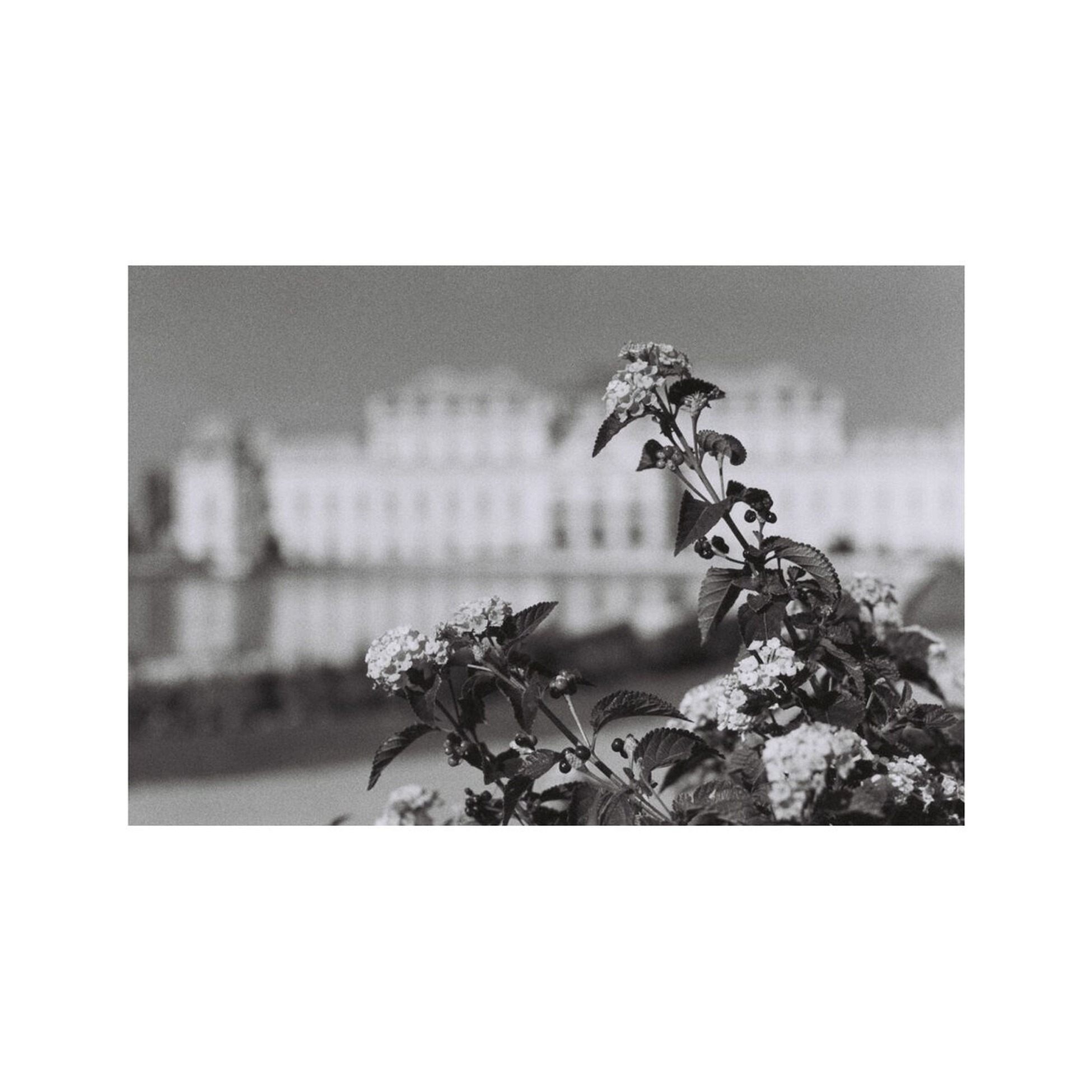 Lomography Berlin Kino 400 Black and White Negative Film - 35mm, 36 Exposures