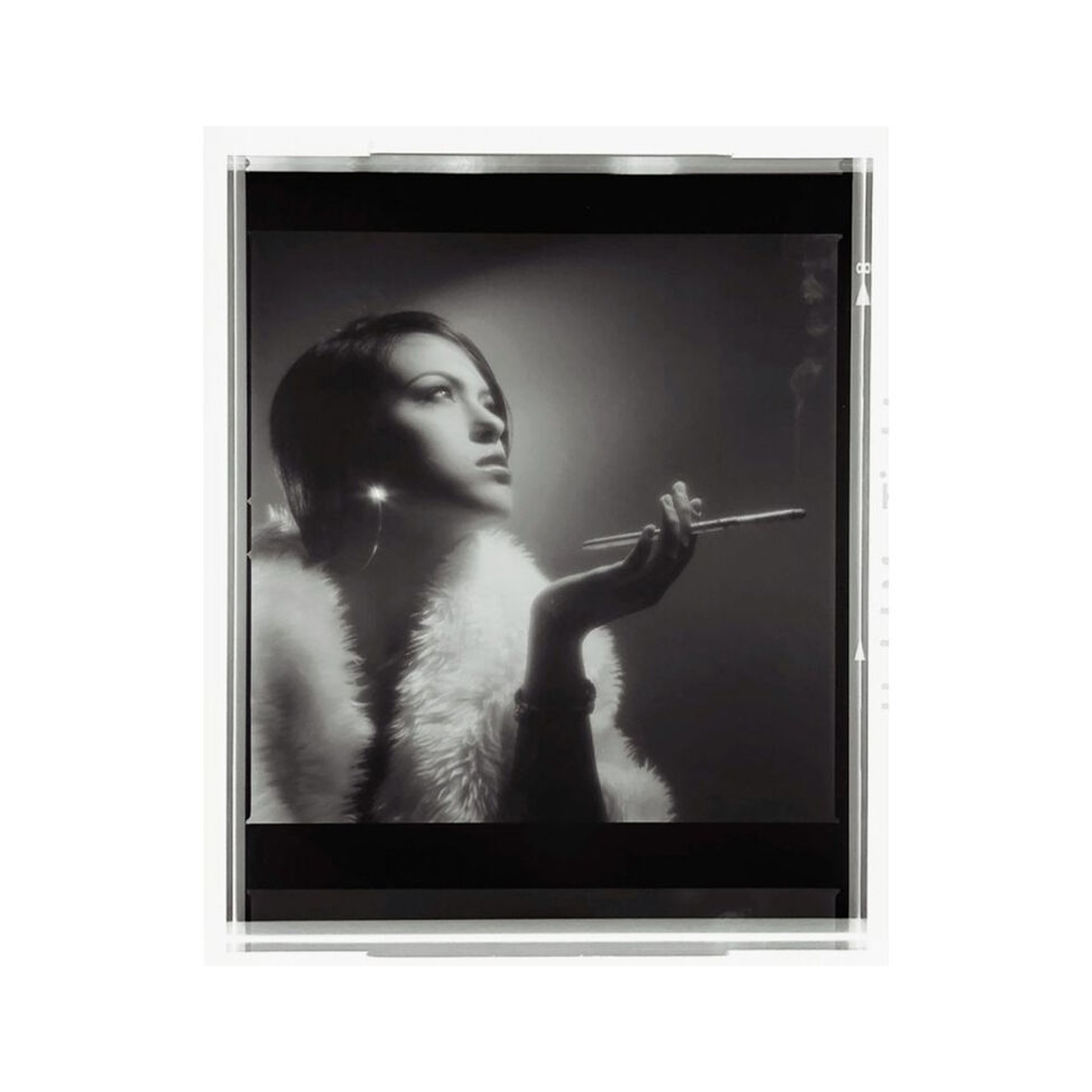 Lomography DigitaLIZA+ Scanning Kit