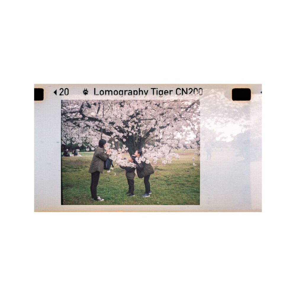 Lomography Lomomatic 110 Camera & Flash - Zebra Crossing