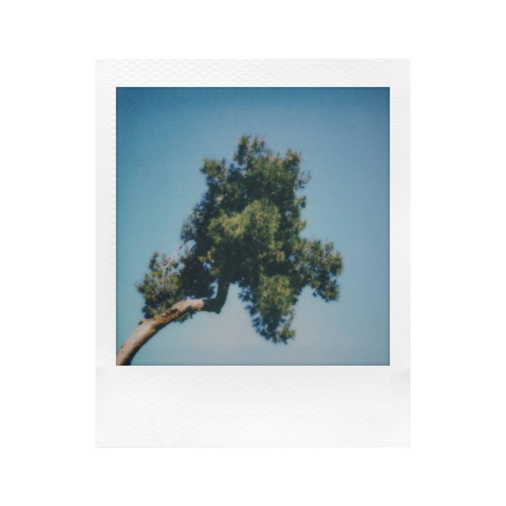 Polaroid Go Gen 3 White