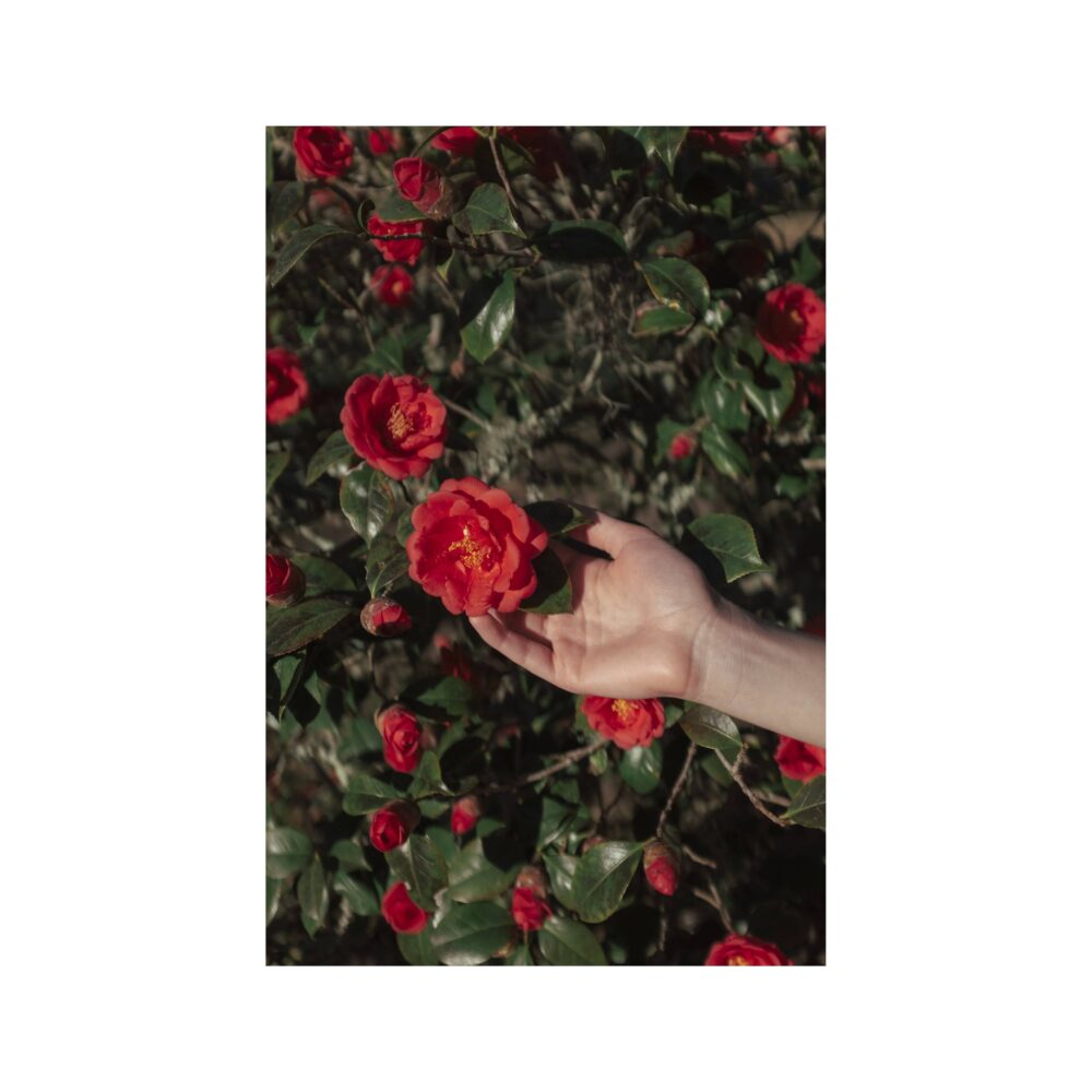 Polaroid Hi-Print 2 x 3