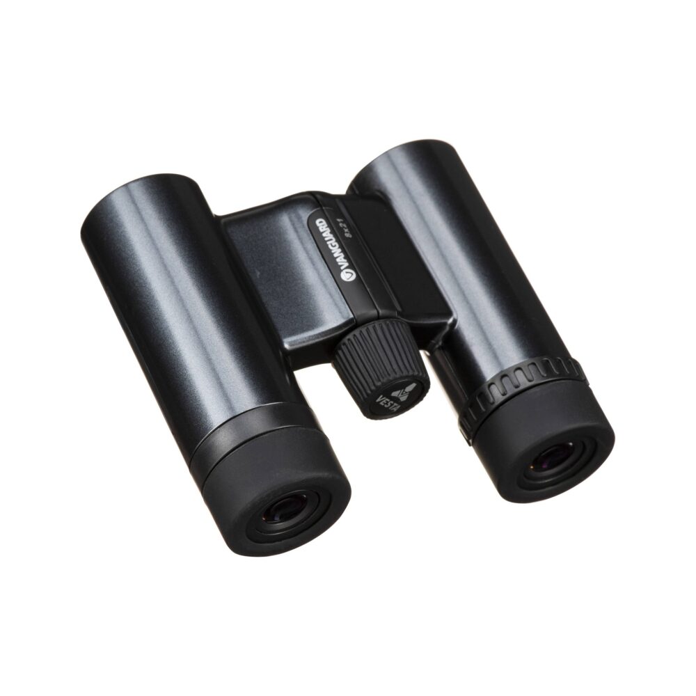 Vanguard Vesta 8210 BP 8x21 Compact Binoculars (Black Pearl)