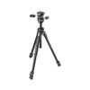 Manfrotto 290 Dual Aluminum Tripod Kit with 3-Way Pan/Tilt Head