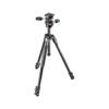 Manfrotto 290 Xtra Aluminum Tripod Kit with 804 3-Way Pan/Tilt Head
