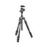 Manfrotto Befree 2N1 Aluminum Tripod with 494 Ball Head (Lever Lock)
