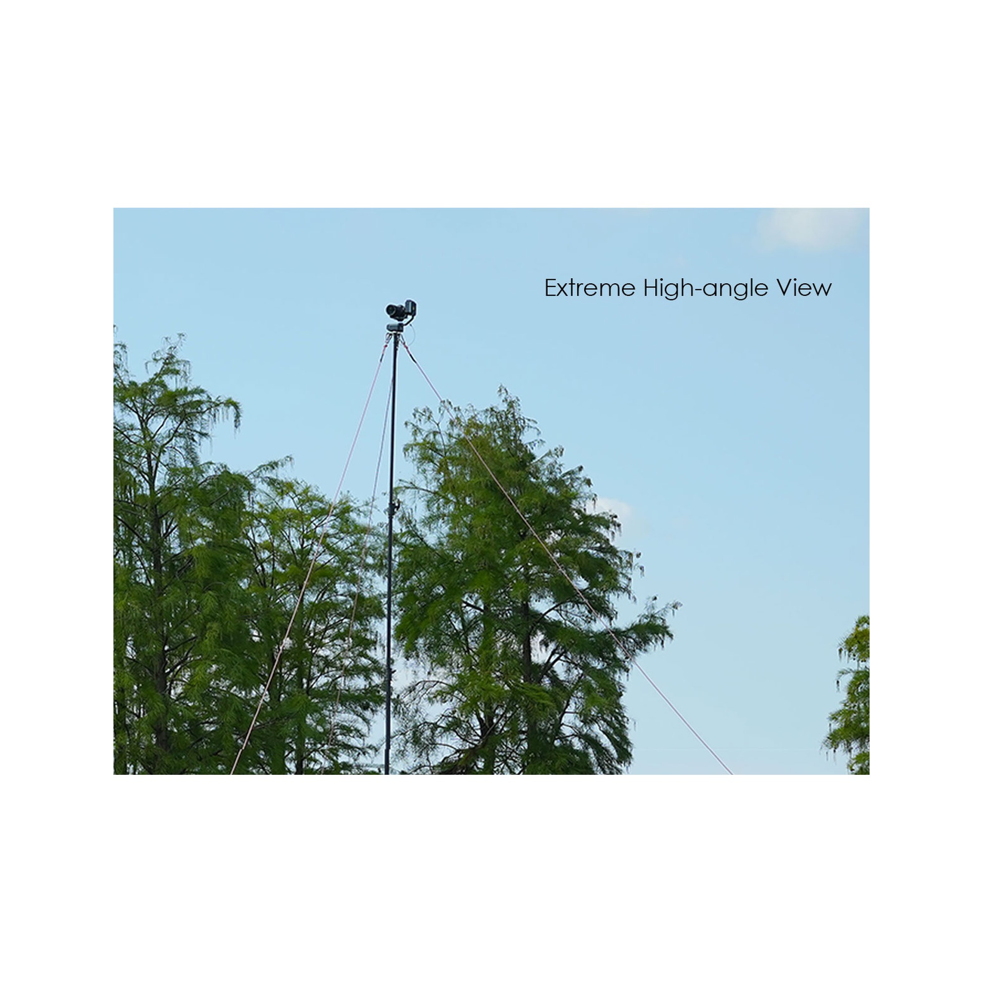 RAUBAY 24' Tall Tripod Light Stand TT730