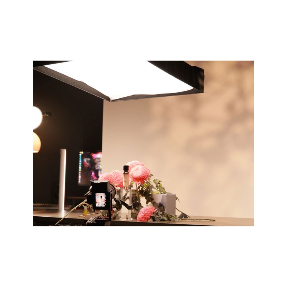 RAUBAY Collapsible White Screen - FloorFlex™
